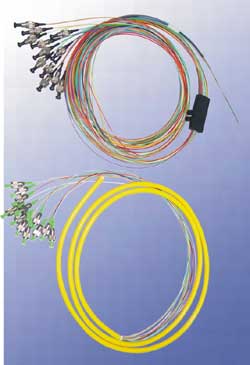 Ribbon Fan-out Patch Cords