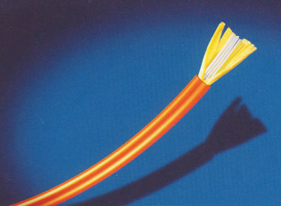 Armored indoor optical fiber cable GJFJVG, 2-24 fibers